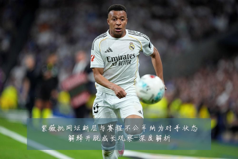 紫薇批网坛断层与赛程不公辛纳为对手状态解释开脱成长观察-深度解析