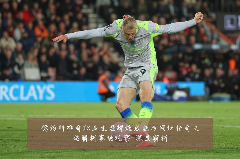德约科维奇职业生涯辉煌成就与网坛传奇之路解析赛场观察-深度解析